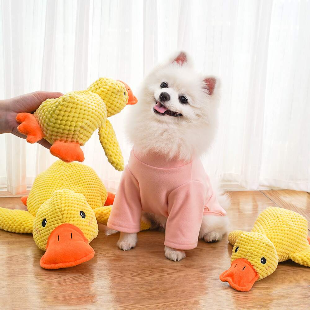 Quackster | Perfect for cozy snuggles and playful quacks