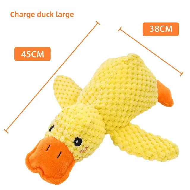 Quackster | Perfect for cozy snuggles and playful quacks