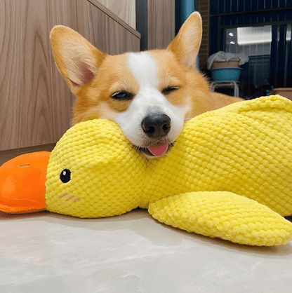 Quackster | Perfect for cozy snuggles and playful quacks